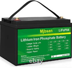 100AH 12V LiFePO4 Deep Cycle Lithium Rechargeable Battery BMS for RV Boat Sloar