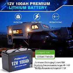 100Ah 12V LiFePO4 Lithium Battery Deep Cycle BMS Low Temp for RV Solar System