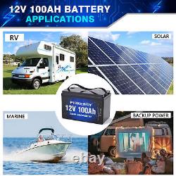 100Ah 12V LiFePO4 Lithium Battery Deep Cycle BMS Low Temp for RV Solar System
