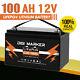100ah Lifepo4 Deep Cycle 12v Lithium Ion Battery For Solar Rv Boat Off-grid Cart
