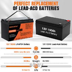 100Ah Rechargeable LiFePO4 Lithium Iron Phosphate Battery 4000+ Deep Cycle RV