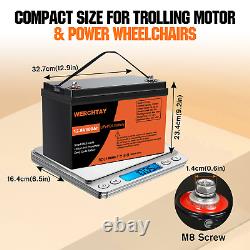 100Ah Rechargeable LiFePO4 Lithium Iron Phosphate Battery 4000+ Deep Cycle RV