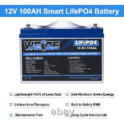 12V 100AH LiFePO4 Deep Cycle Lithium Battery for RV Marine Off-Grid Solar System