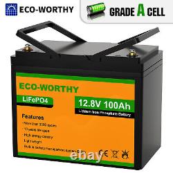 12V 100AH LiFePO4 Lithium Battery 3000+ Cycles BMS for RV Solar Panel Golf Cart