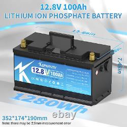 12V 100AH LiFePO4 Lithium Battery BMS 15000 Cycle Solar 10-Year Lifetime RV Boat