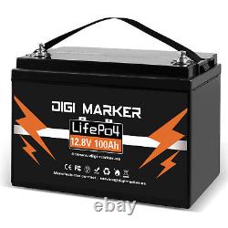 12V 100AH LiFePO4 lithium iron Battery Deep Cycle 1.28kWh For RV Solar Off-grid