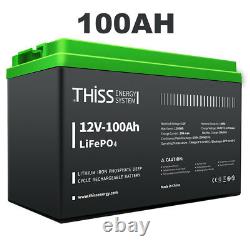 12V 100AH deep cycle LiFePO4 battery Lithium-Iron Phosphate Low Temp Shutoff lot