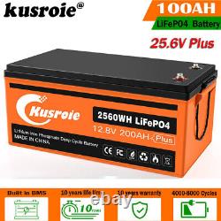 12V 100Ah 200AH LiFePO4 Smart Lithium Iron Battery With Built-in Bluetooth IP65 RV