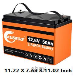 12V 100Ah 50Ah LiFePO4 Lithium Iron Battery BMS IP65 Solar RV Home Off-Grid Lot