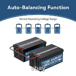 12V 100Ah Deep Cycle Lithium iron Battery LiFePO4 Built-in Bluetooth 100A BMS