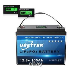 12V 100Ah + LCD Mini Size LiFePO4 Lithium Battery Deep Cycle BMS for RV Solar