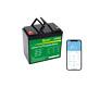 12v 100ah Lifepo4 Deep Cycle Lithium Battery 1280w Fit Group 24 For Trailers Rv