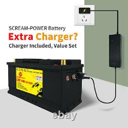 12V 100Ah LiFePO4 Deep Cycle Lithium Iron Battery BMS Backup Power WithCharger