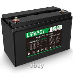 12V 100Ah LiFePO4 Lithium Battery BMS for Solar RV Off-grid Trolling Motor Boat