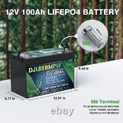 12V 100Ah LiFePO4 Lithium Battery Smart BMS For RV Marine Trolling Motor