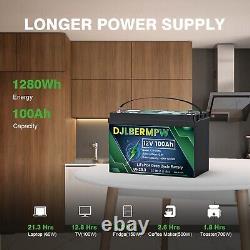 12V 100Ah LiFePO4 Lithium Battery Smart BMS For RV Marine Trolling Motor