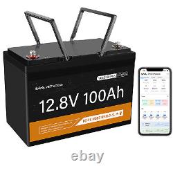 12V 100Ah LiFePO4 Lithium Iron Battery 1280Wh for Solar Golf Cart Boat IP65