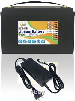 12V 100Ah LiFePO4 Lithium Iron Battery With Charger Solar Deep Cycle Caravan RV