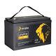 12v 100ah Lifepo4 Lithium Iron Phosphate Battery, Built-in Bms For Rv, Boat, Home