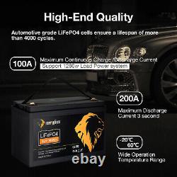 12V 100Ah LiFePO4 Lithium Iron Phosphate Battery, Built-in BMS for RV, Boat, Home