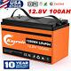 12v 100ah Lifepo4 Lithium Iron Phosphate Deep Cycle Rechargeable Battery Bms Rv