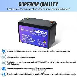 12V 100Ah LiFePo4 Lithium Iron Phosphate battery for RV Deep Cycle Solar System