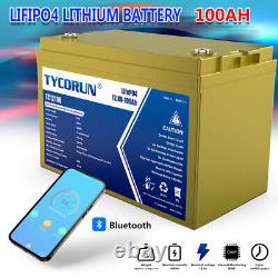 12V 100Ah Lithium Iron Battery Bluetooth LIFEPO4 BMS for RV Marine BOAT OFFGRID