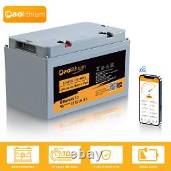 12V 100Ah Lithium Iron Phosphate Deep Cycle Rechargeable Battery LiFePO4 In BT