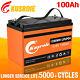 12v 100ah Lithium Iron Phosphate Lifepo4 Battery Solar Battery Built-in Bms New