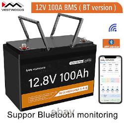 12V 100Ah SMART LiFePO4 Lithium Iron Battery Bluetooth Deep Cycle Low Temp Cut