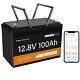 12v 100ah Smart Lifepo4 Lithium Iron Battery 1280wh With Bluetooth Monitoring App