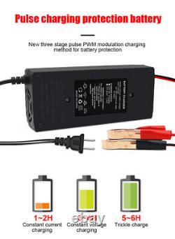 12V 10A Charger for Lithium Iron Phosphate (LiFePO4) Battery 14.6V CC/CV OUTPUT