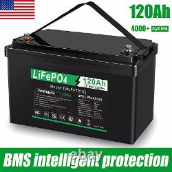 12V 120Ah LiFePO4 Lithium Battery BMS for Solar RV Off-grid Boat Trolling Motor