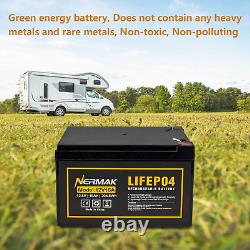 12V 16Ah Lithium Lifepo4 Deep Cycle Battery, 2000+ Cycles Lithium Iron Phosphate