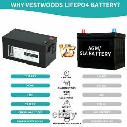 12V 200Ah LiFePO4 Lithium Iron Phosphate 4000+ Cycle Rechargeable Battery RV USA