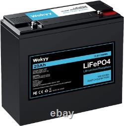 12V 20Ah Lifepo4 Battery, 256Wh Rechargeable Lithium Iron Phosphate Batte