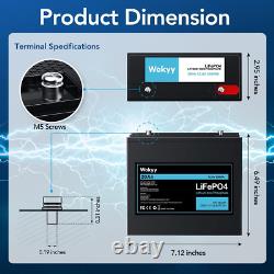 12V 20Ah Lifepo4 Battery, 256Wh Rechargeable Lithium Iron Phosphate Batte