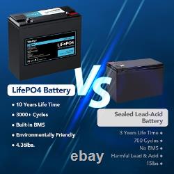 12V 20Ah Lifepo4 Battery, 256Wh Rechargeable Lithium Iron Phosphate Batte