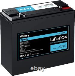12V 20Ah Lifepo4 Battery, 256Wh Rechargeable Lithium Iron Phosphate Battery, 350
