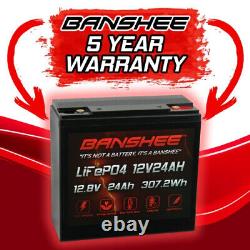 12V 24Ah LiFePO4 Lithium Iron Phosphate Deep Cycle Rechargeable Battery 20Ah