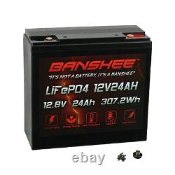 12V 24Ah LiFePO4 Lithium Iron Phosphate Deep Cycle Rechargeable Battery 20Ah