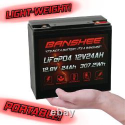 12V 24Ah LiFePO4 Lithium Iron Phosphate Deep Cycle Rechargeable Battery 20Ah