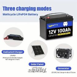 12V 24V 36V 48V 100Ah LiFePO4 Lithium Battery BMS 20000+ Cycles RV Solar Panel