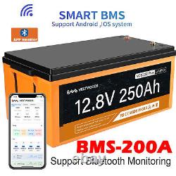 12V 250Ah 200A BMS LiFePO4 Lithium Iron Battery Bluetooth App Support RV Boat