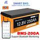 12v 250ah 200a Bms Lifepo4 Smart Bluetooth Lithium Iron Battery Solar Off-grid