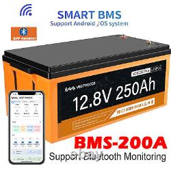 12V 250Ah Bluetooth LiFePO4 Lithium Iron Battery Low Temp Cut off for RV Boat