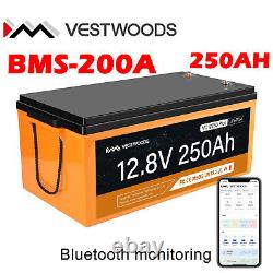 12V 250Ah Lithium Iron Battery LiFePO4 200A BMS 2.56KWh Solar System Camping