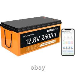 12V 250Ah Lithium Iron Battery LiFePO4 3200Wh For Solar RV Camping Bluetooth