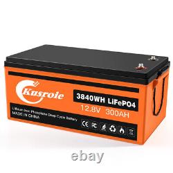 12V 300AH Lithium LiFePO4 Battery 8000+ Deep Cycle Built-in 200A BMS For RV OEM