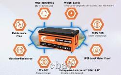 12V 300AH Lithium LiFePO4 Battery 8000+ Deep Cycle Built-in 200A BMS For RV OEM